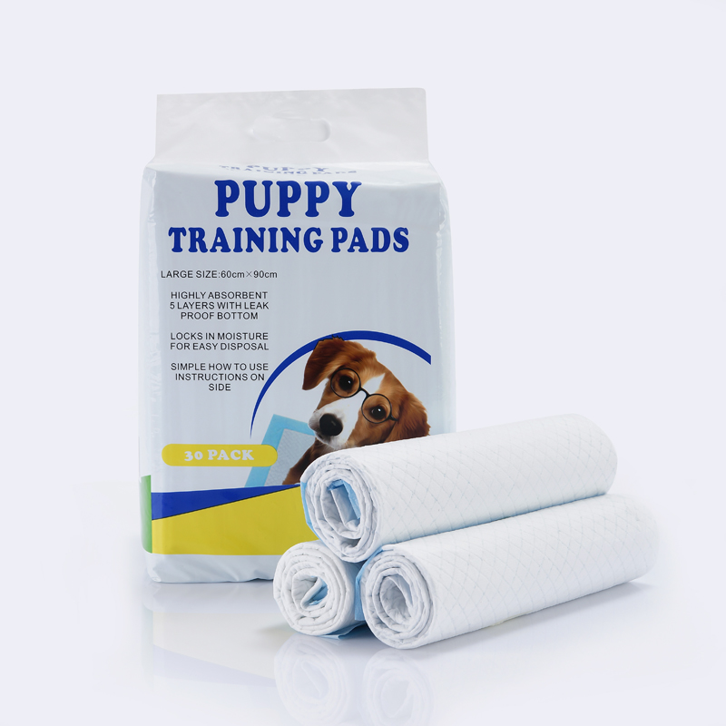Promotional Eco Friendly Good Absorbency Disposable Pet Pad Light Pee Wee Pads