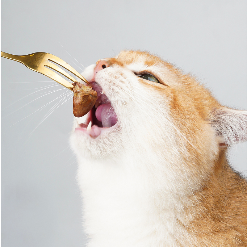 Wholesale freeze-dried pet snacks Cat snacks and cat food Freeze-dried pigeon hearts freeze-dried dog snacks dog food cat Treats