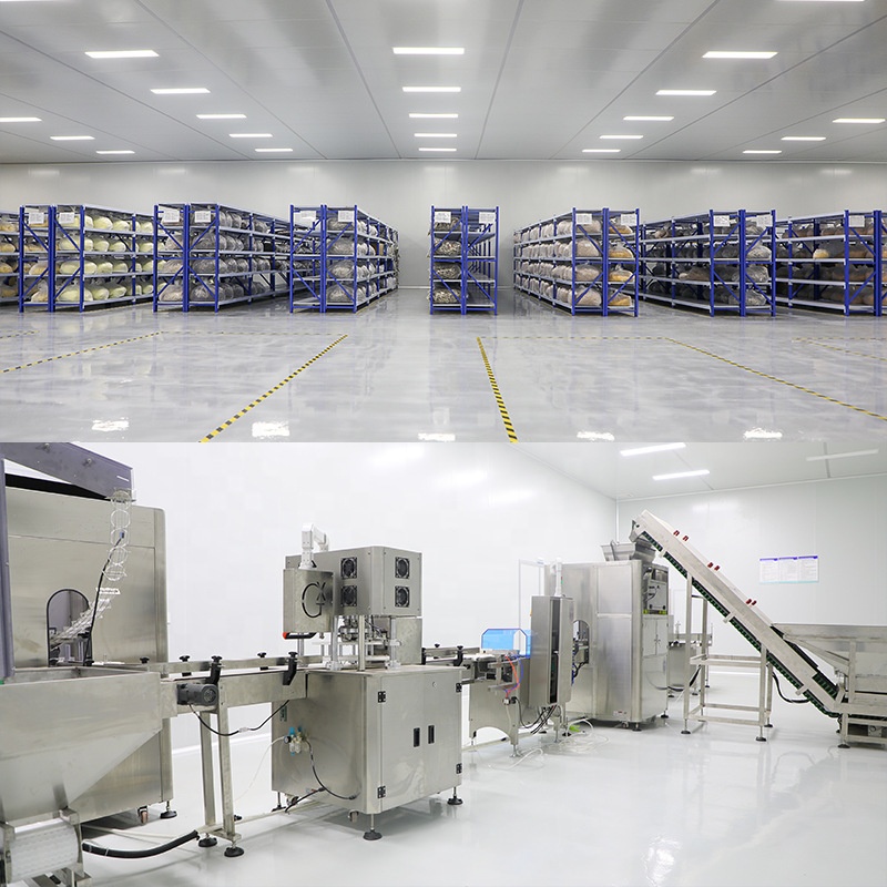 wholesale Peto manufacture for pet food Bulk raw Freeze Dried quail egg yolk OEM Pet cats snacks dog Treats
