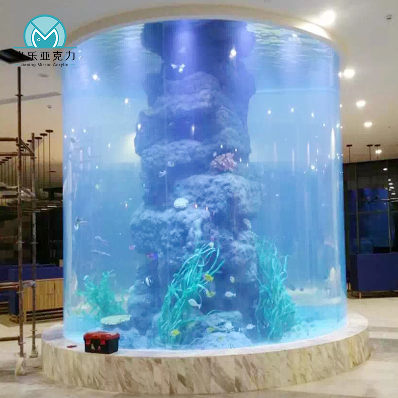 Competitive wholesale price high-quality newly designed Acrylic Tank Aquarium Live Fish