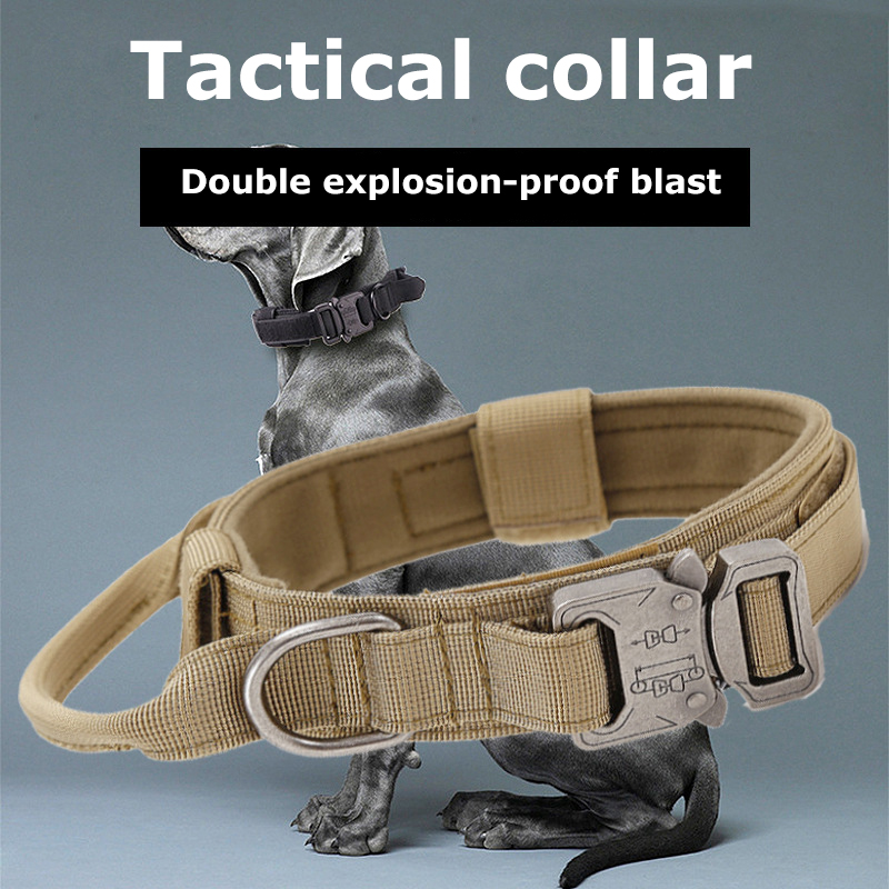 High Quality Adjustable Nylon Dog Collar