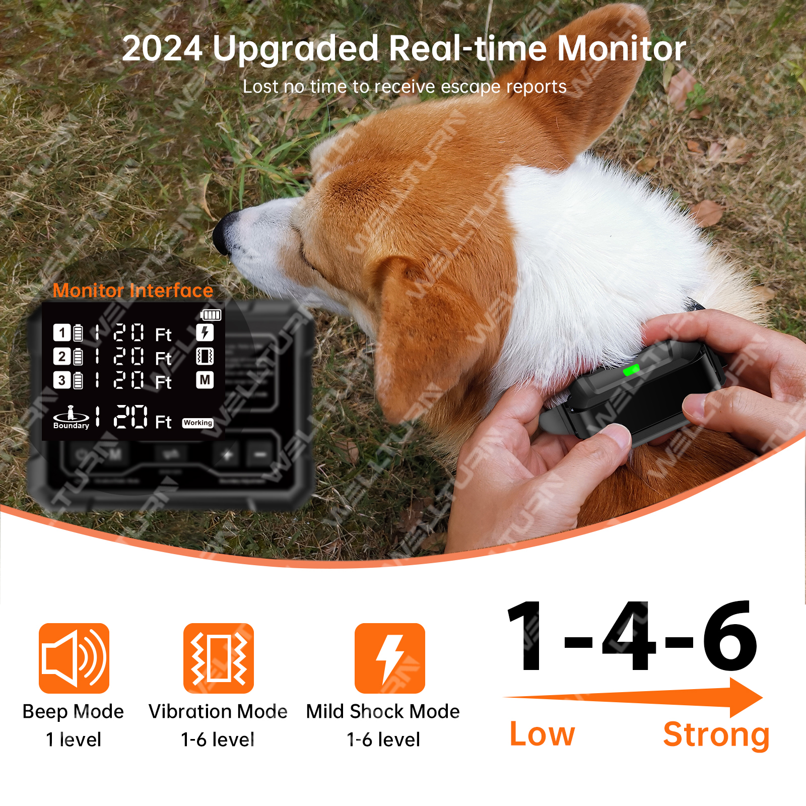 Patented New Product Range 10-120ft Wireless Dog Fence System for 3 Dogs Radar Wireless Fence Training Collar Wireless Dog Fence