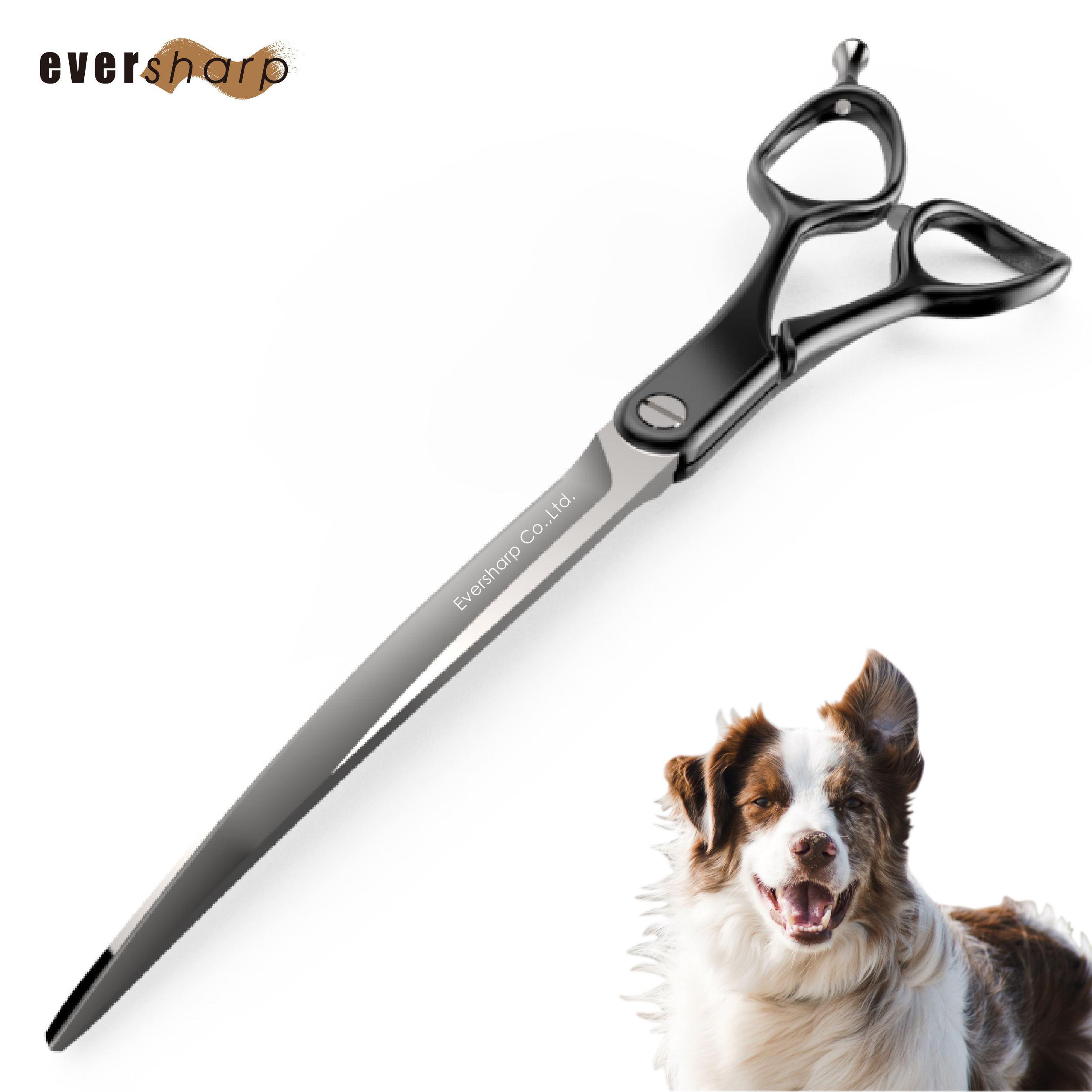 Taiwan Supplier Pet Scissors Grooming For Dogs and Pet Shop Pet Scissors Set Stainless Steel Grooming Shears