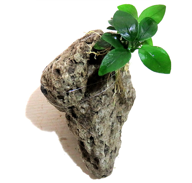Raw Natural Pumic Stone Cabochons Rock Aquarium Tank Floating Stone