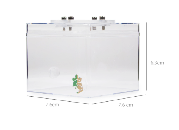 Square Feeding Space Plastic Raising Ant Nest