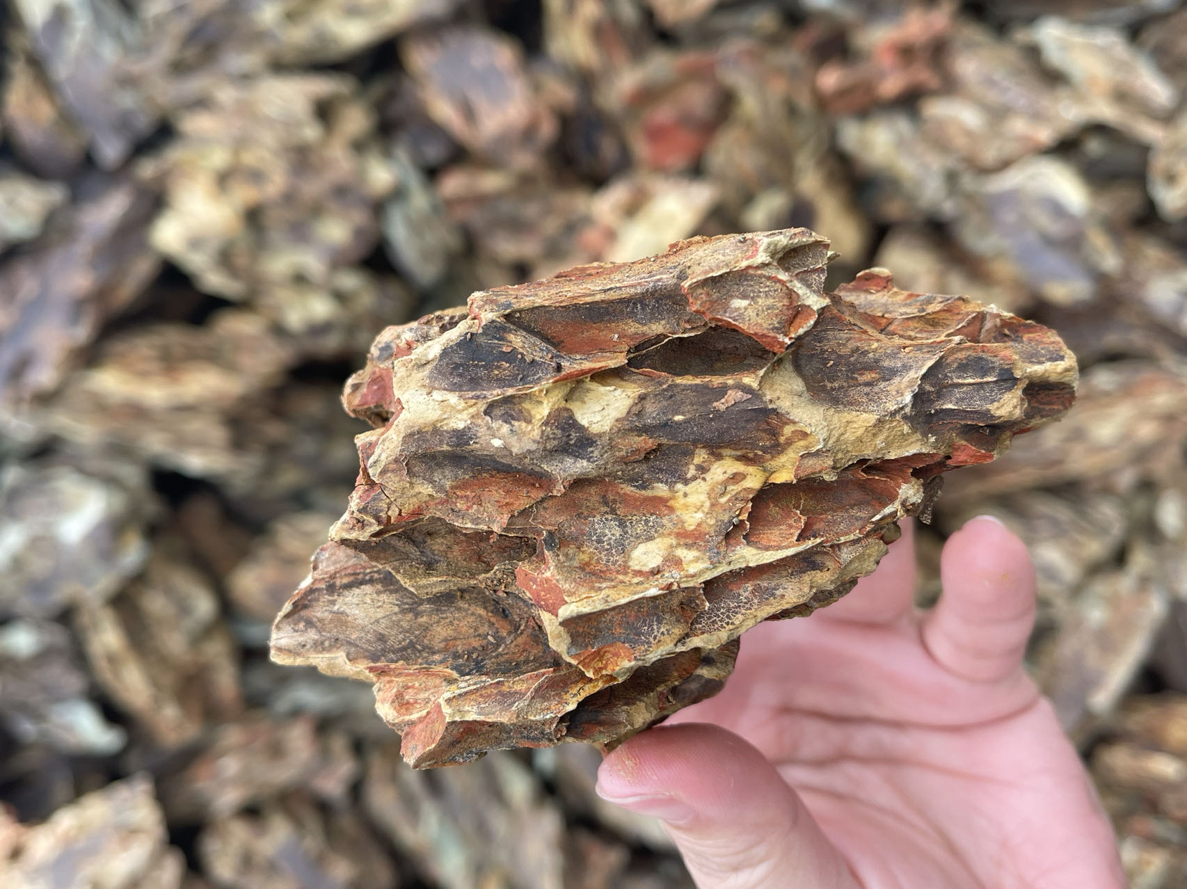 Landscape Dragon Stone Rock for Aquarium fish aquarium decoration