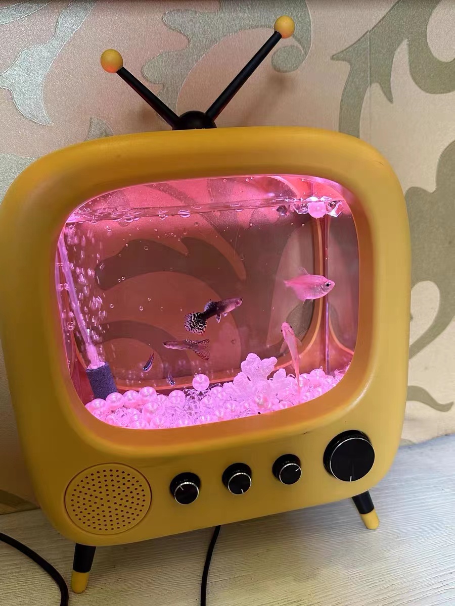 USB fish tank table TV design mini aquarium fish tank for cat