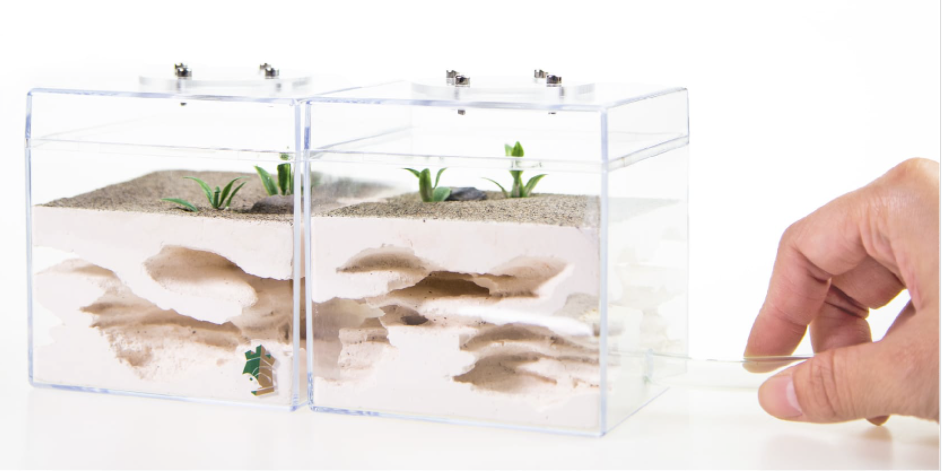 Minimalist Nordic Design Clear Acrylic Reptile Box Aquarium accessories