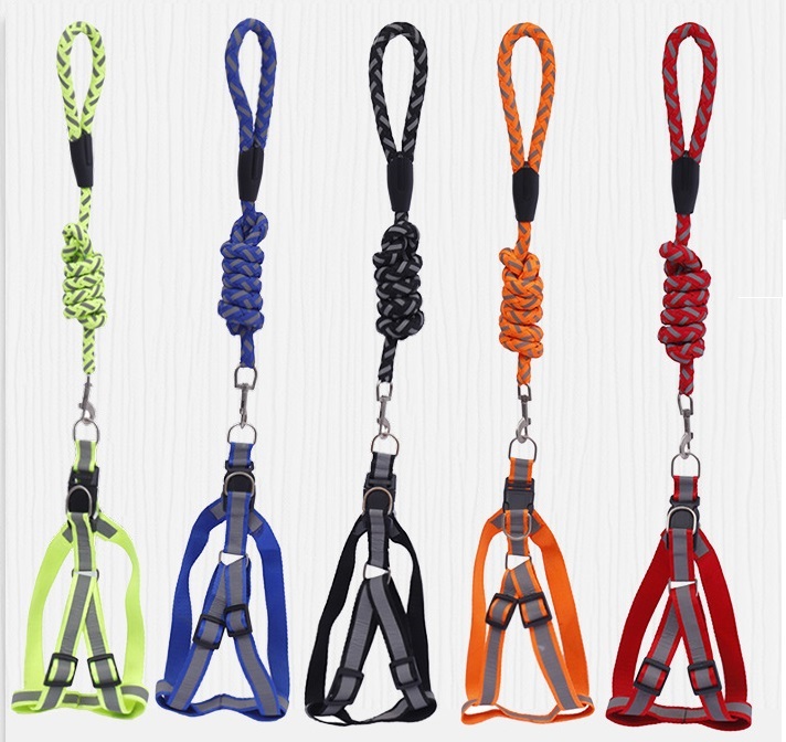 Dog Leash Harness Adjustable & Durable Nylon Braided Leash Set for Small/Medium Dog-2 Pack