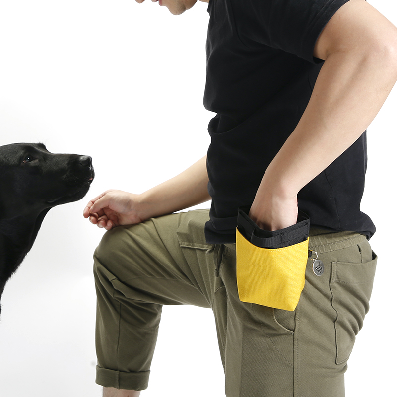 Custom Logo Reusable Dog Walking Treat Pouch Magnetic Closure Cat Silicone Snack Bag For Pet