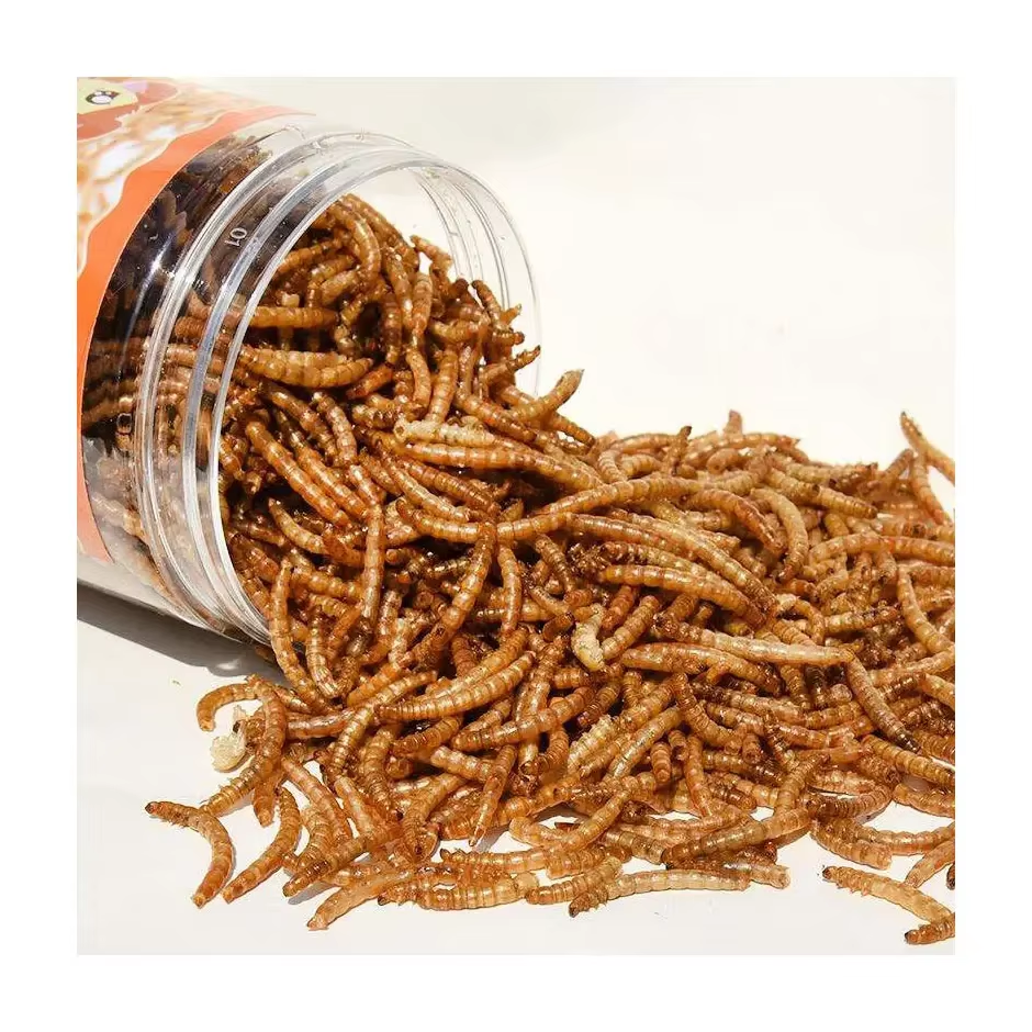 OEM Bird fish Hamster high protein flour weevil Tenebrio molitor yellow mealworms snacks dried pet food