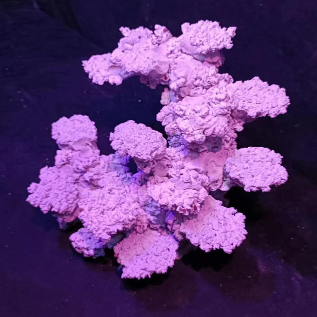 Custom Made 60cm Fish Tank Aquarium Decoration Aquascaping Stone Rock for Sale
