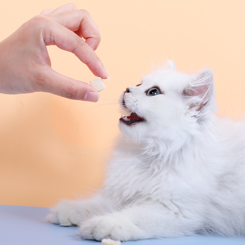 OEM ODM Pet Food 100% Freeze Dried 100g Chicken Meat Treats For Dogs and Cats Food Pet Cat Dog Treats