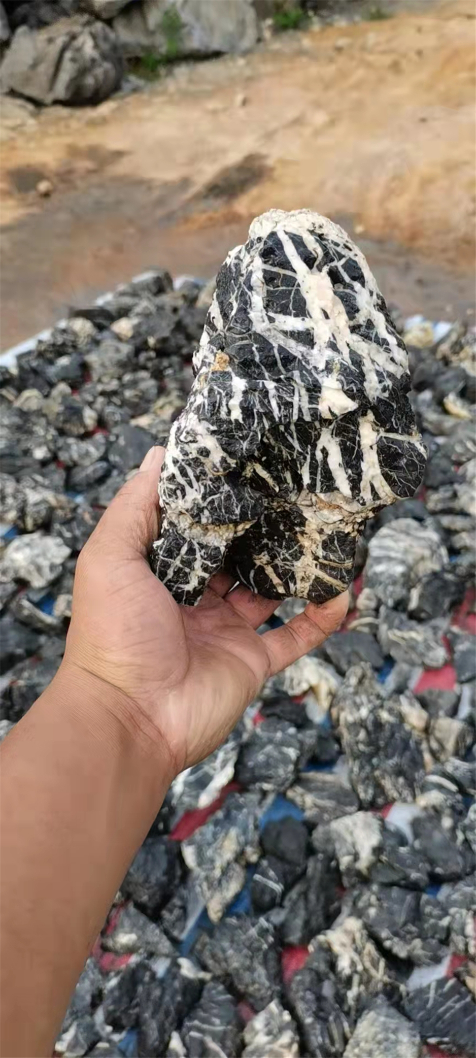 Landscaping Natural Aquarium Seiryu-Seki Qinglong Stone for fish tank aquascape