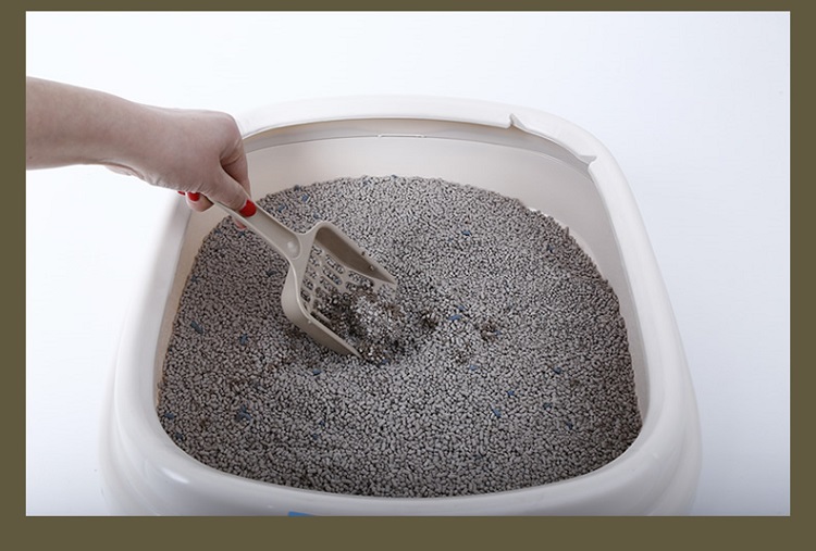 Wholesale Natural Wood Cat Litter Promotional Quick Clumping Granules Wood Pellets Cat Mat Litter