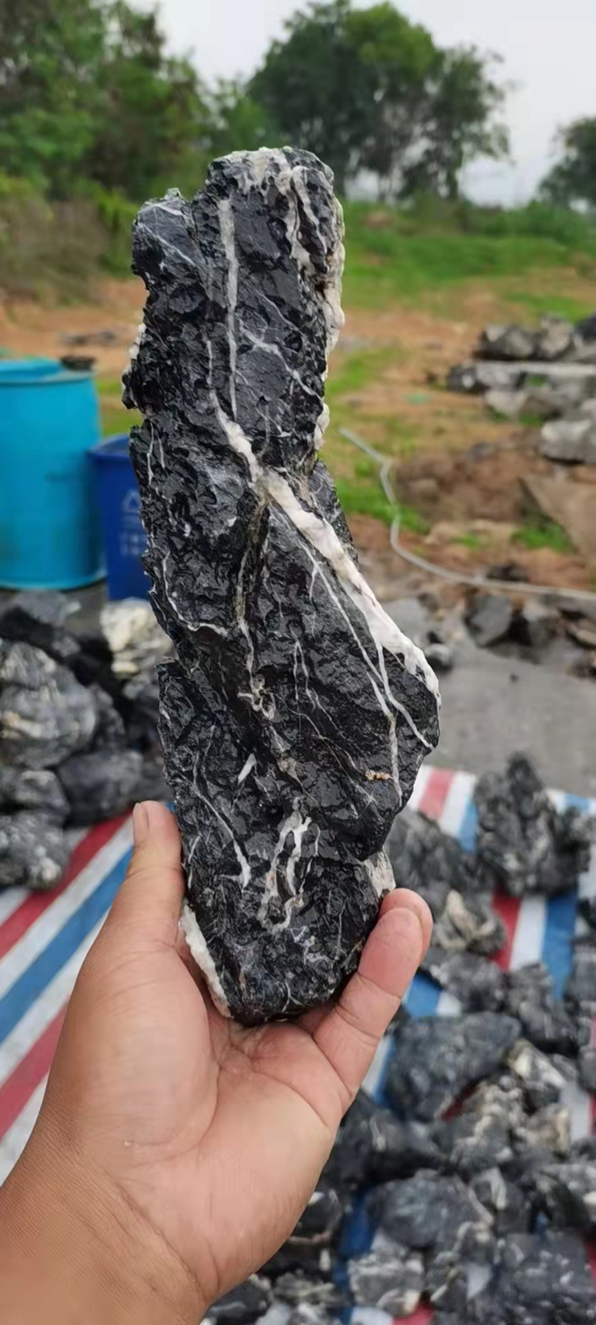 10-30cm acid washed seiryu dragon fish tank stone for for Paludarium Aquascape