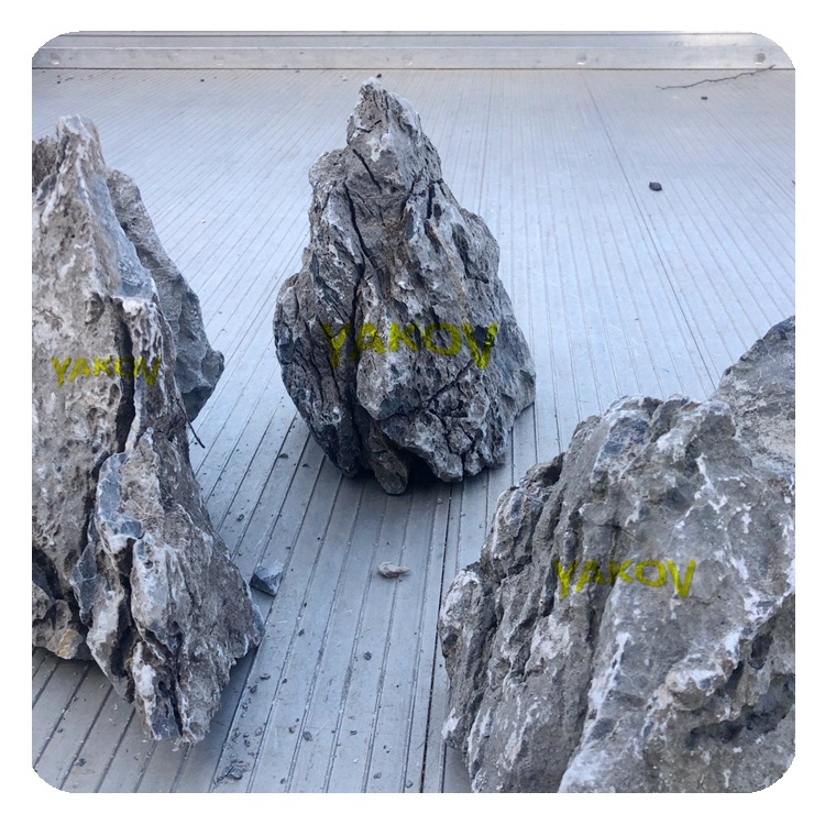 aquarium aquascaping decorative water washed Seiryu stone