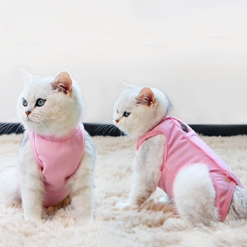 Wholesale Custom Light Pink Blue Yellow Cotton L Size Anti Licking Pet Cat Surgical Sterilization Recovery Suit
