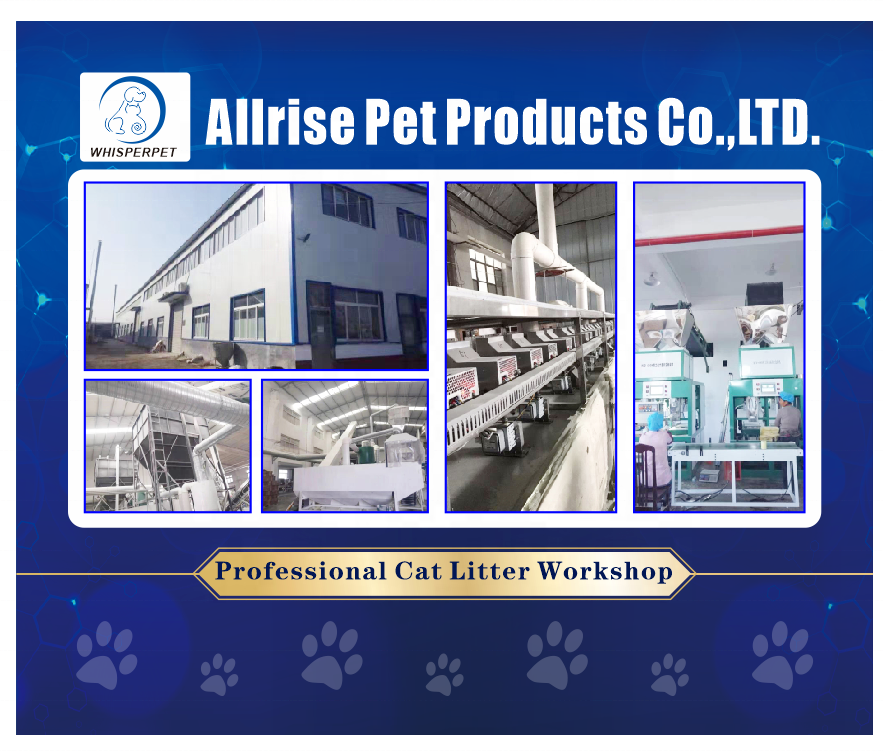 Best Bio Cat Litter Dust Free Clumping Litter Light 6L Tofu Cat Litter1.5mm Odor Control