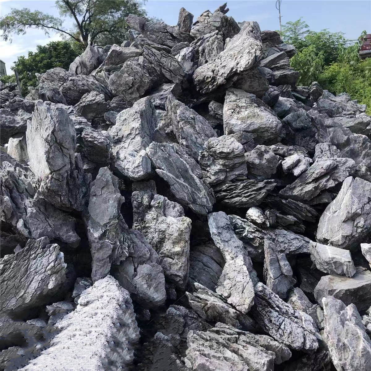 Wholesale of Aquarium Fish Tanks Blue Dragon Stone Aquarium Stone Decoration Blue Dragon Aquarium Seiryu Stone