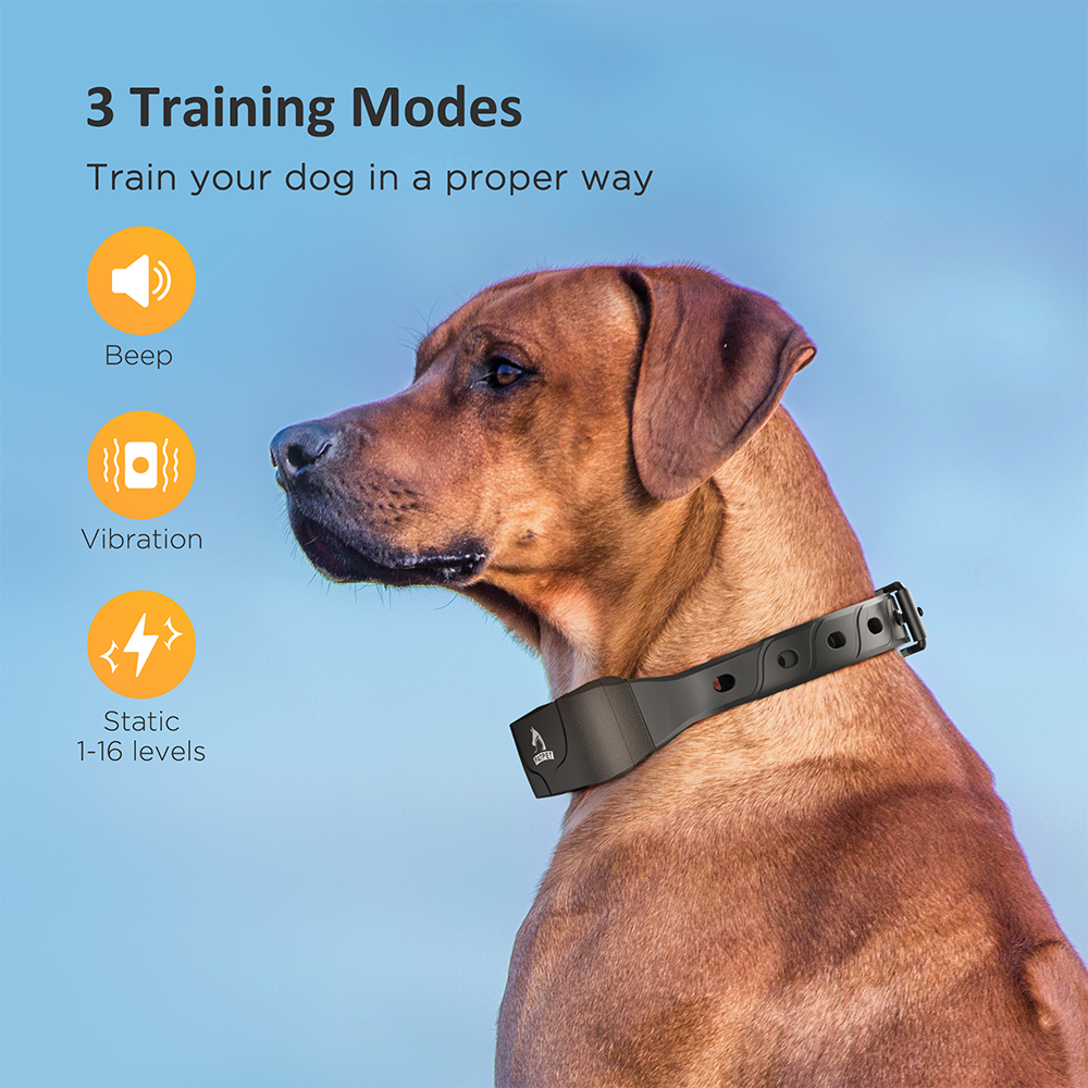 Dog Training Collar Waterproof Training Collars for 2 Dogs with Remote Rechargeable 3 Training Modes