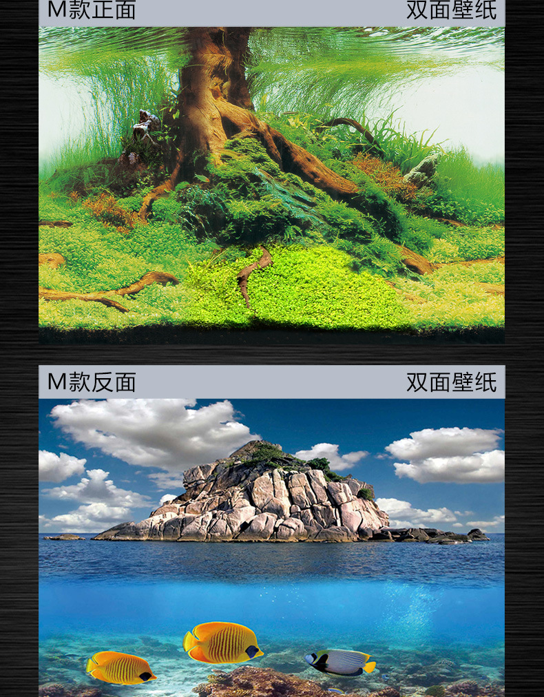 Three-Dimensional Fish Tank Aquarium Wallpaper Background Painting Double-Sided Aquarium Decorative Aquarium Sticker