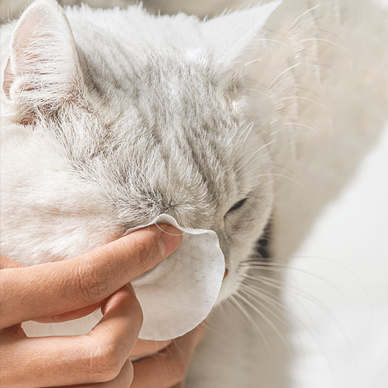 OEM Pet Cleaning Product Pet Eye Wipes Remove Tears Clean Stain Remover Pet Wipes For Cats Dogs