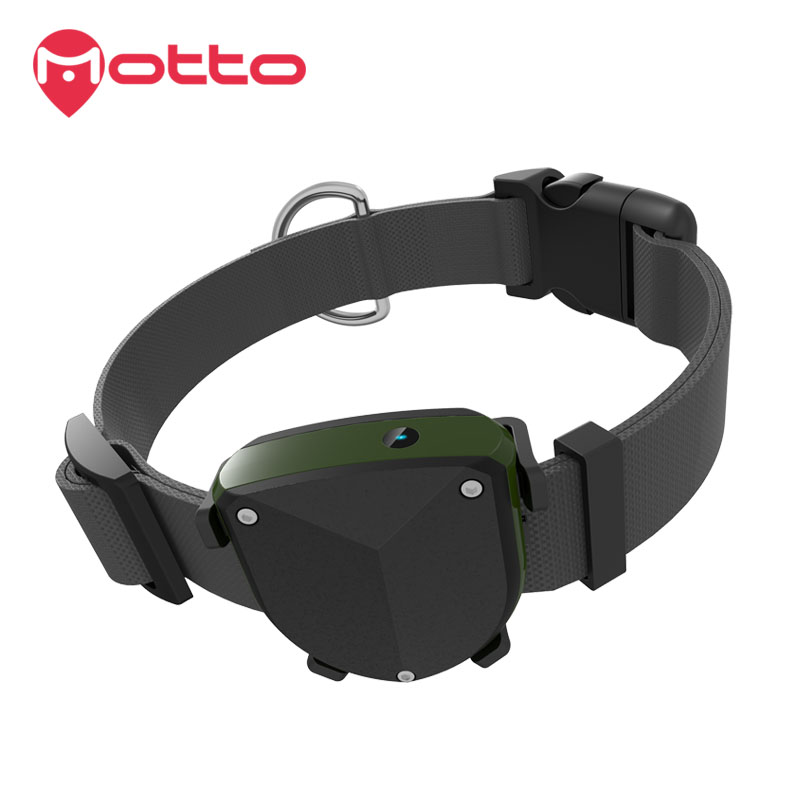 Waterproof IP67 GPS pet tracker manufacturer