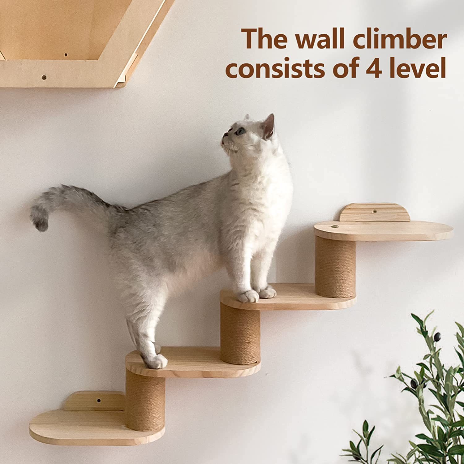 Indoor cat rack Hexagonal cat nest wooden wall-mounted cat apartment with ladder