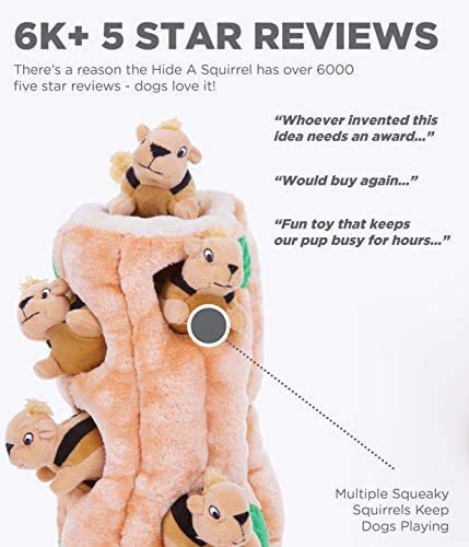 2022 New Pet Product Extrovert Hound Hidden Squirrel Plush Dog Toy