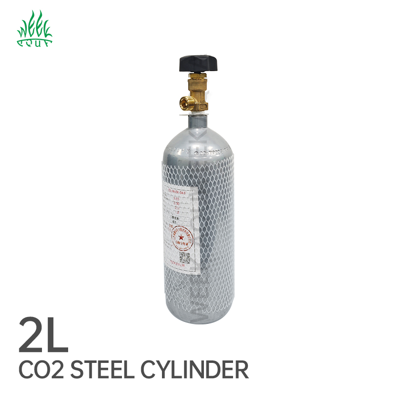 Wholesale Co2 Steel Cylinder 2L Industrial Gas Cylinder CO2 Tank High Pressure Resistance With Pressure Relief Valve