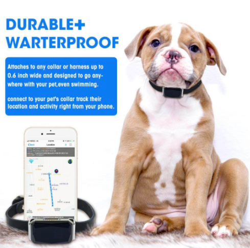 All in one Tractive Location activity devices Waterproof LBS Wifi App Smart GPS Tracker Dog GPS for Pet Dogs Kids Cats Tracking