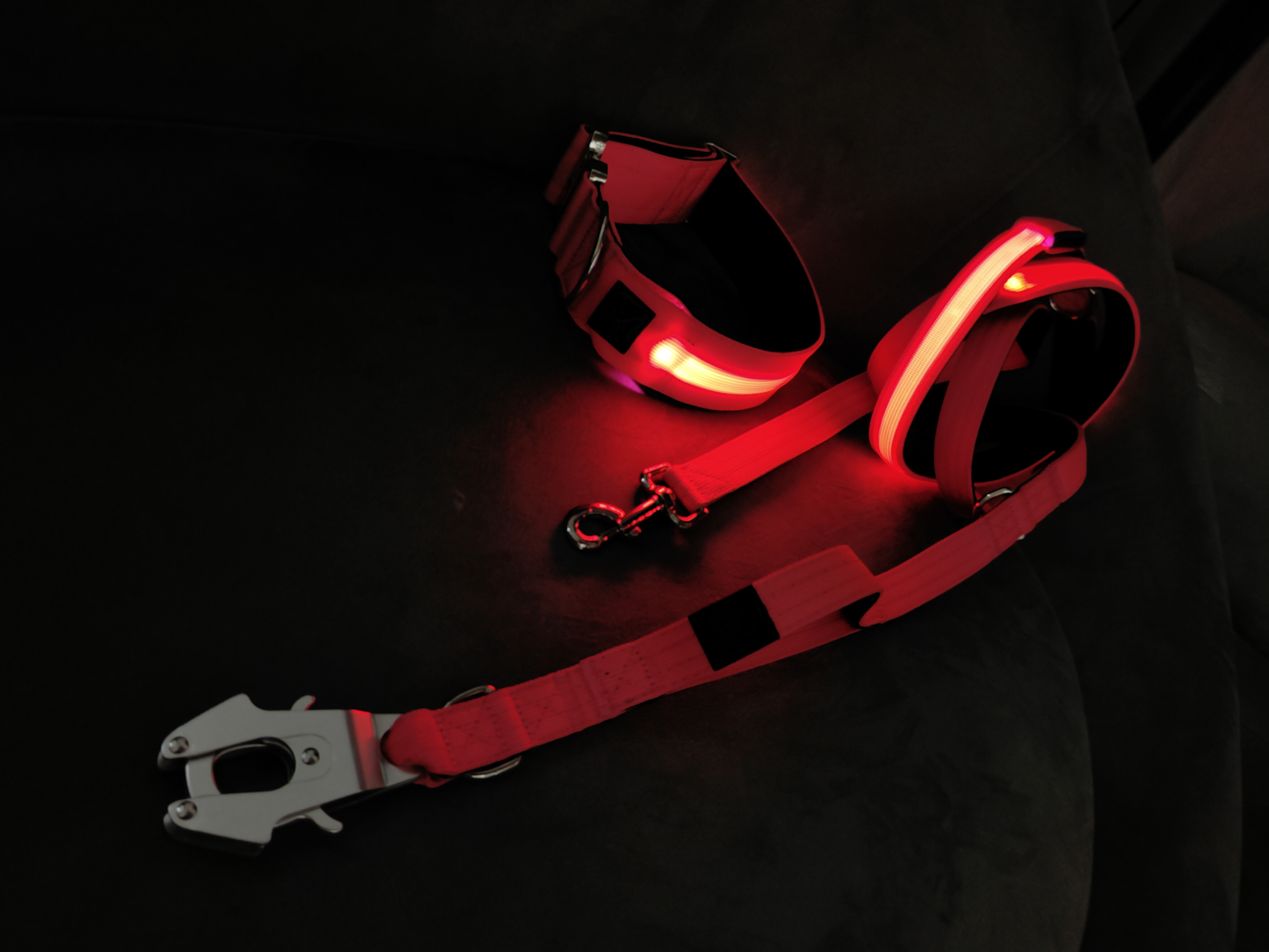 led lighting pet dog collar Hundehalsband led light up dog led collar and leash set for night walking