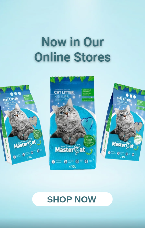 10L MasterCat Sand - High-Quality Fast Clumping Bentonite Cat Litter Scented with Marseille Soup for Cats Wholesale