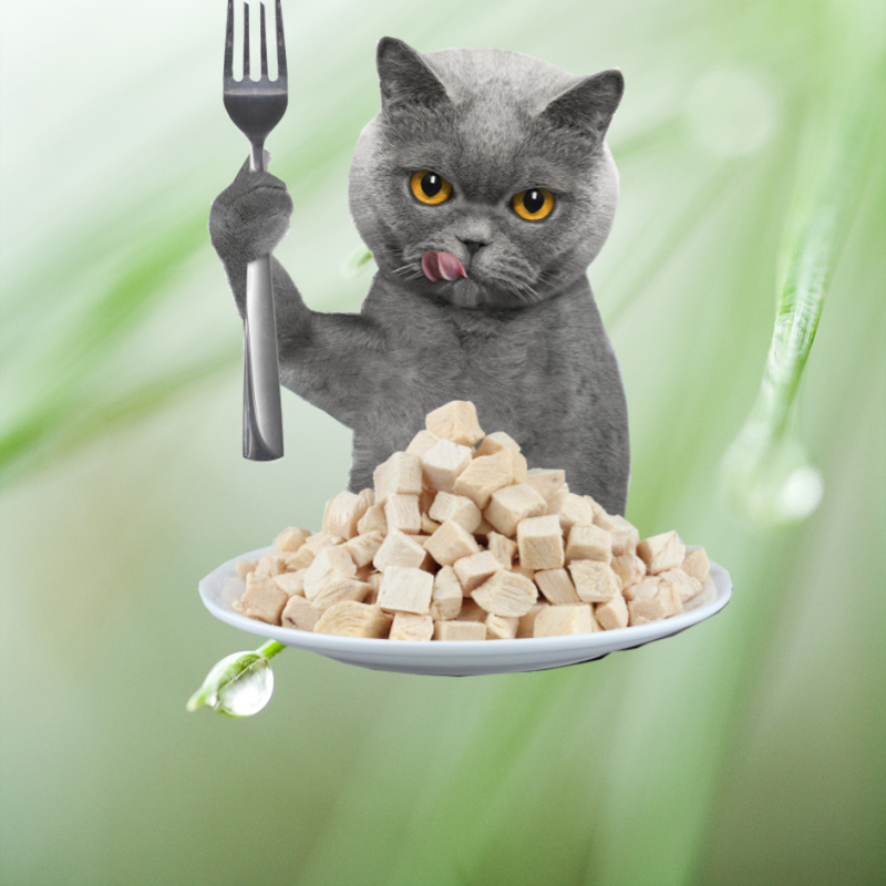 Quality Assurance Dry Chicken Products Freeze Dried Chicken Cubes Natural Pet Treats
