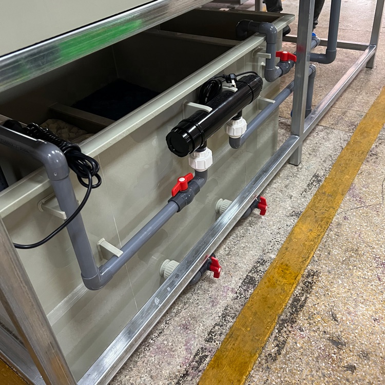 Fish Farm Laboratory Aquaculture Center Automatic Fish Incubator For Hatching Equipment