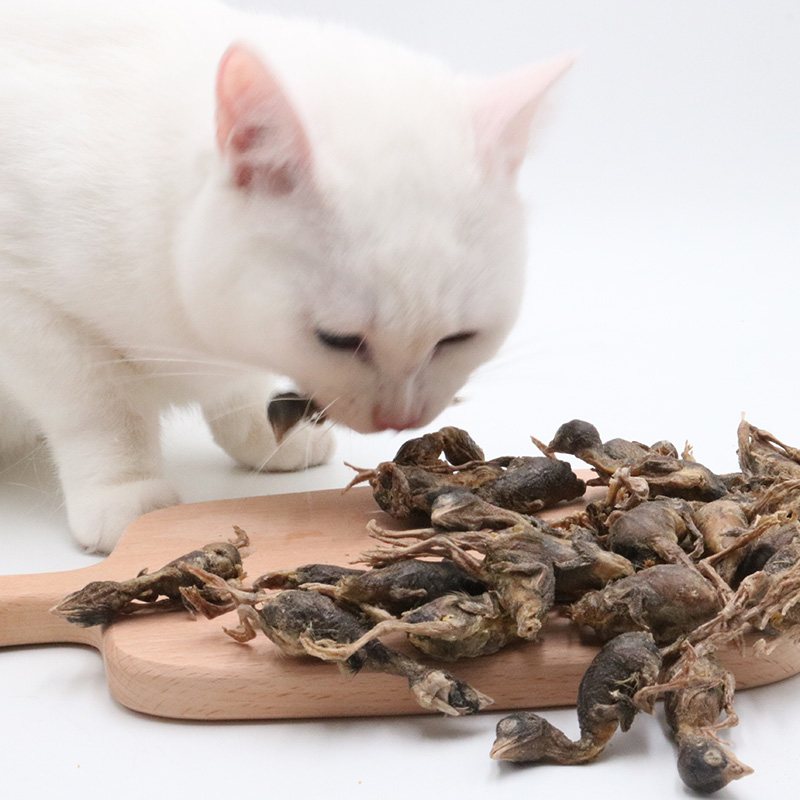 OEM ODM Factory Wholesale Natural High Protein Snacks Freeze Dried Quail for Cat Dogs Toy Chews Food