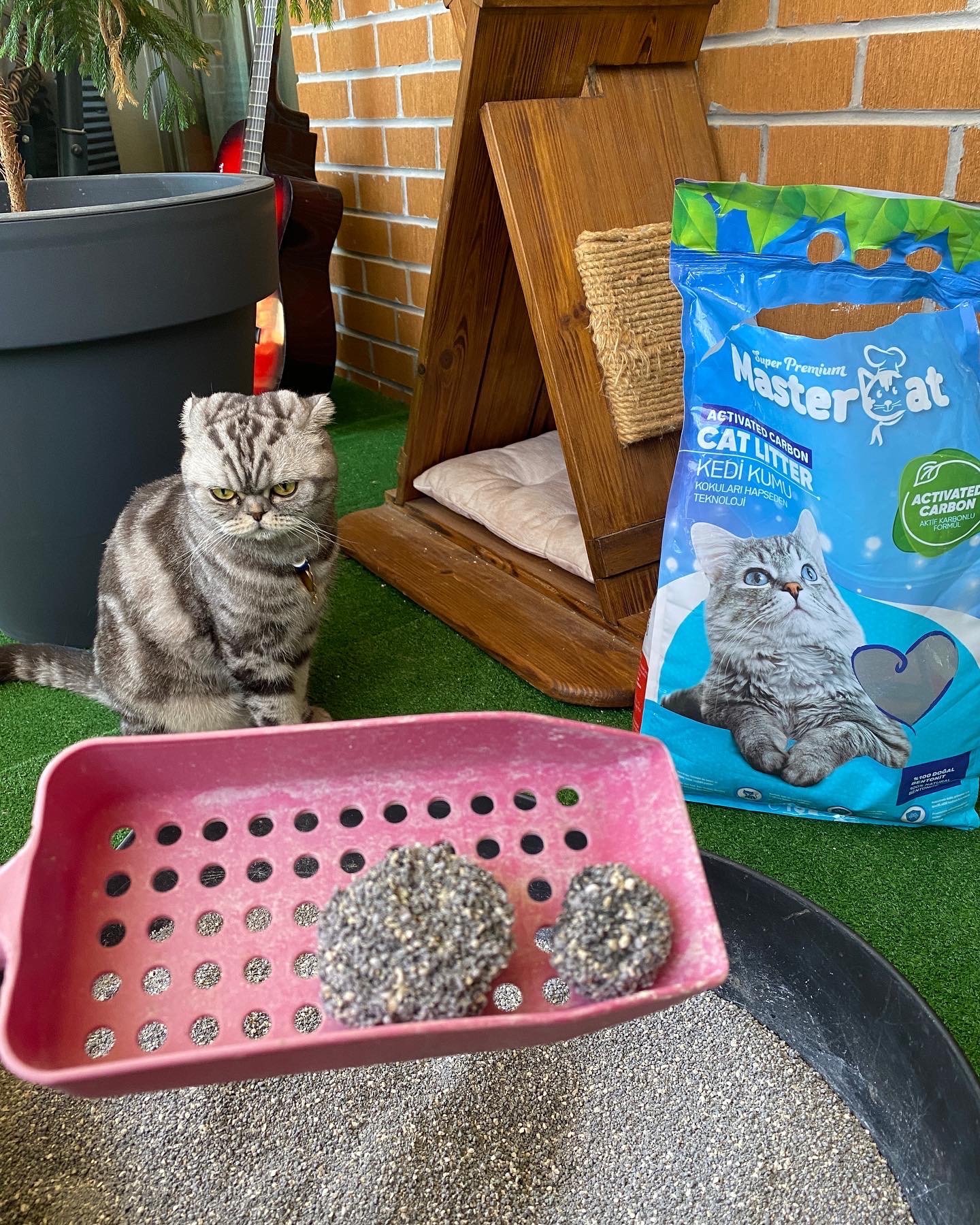 High Quality 10L MasterCat Sand Bentonite Cat Litter Box with Fast Clumping Marseille Soup Scent Wholesale for Cats