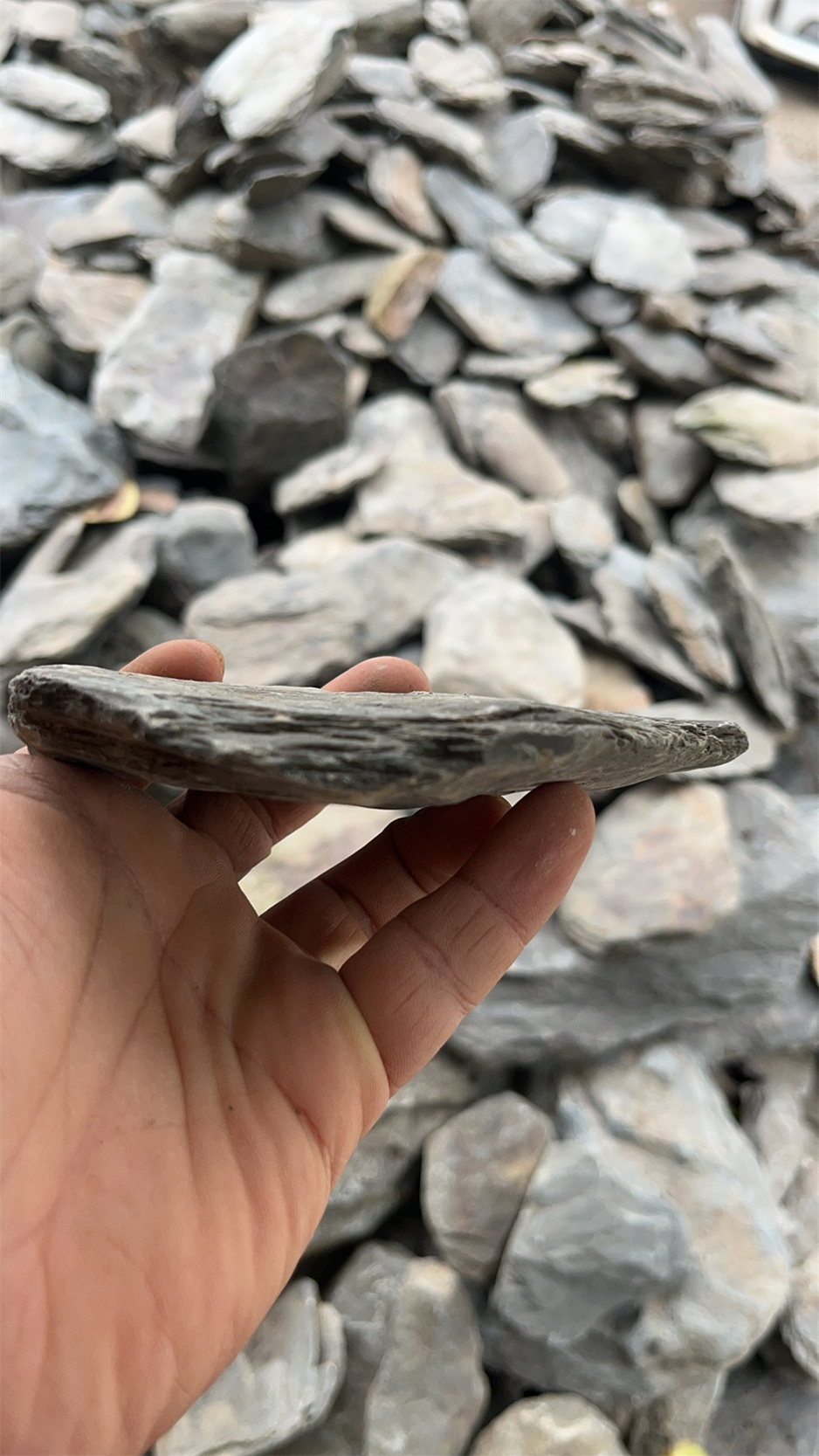 schist landscaping aquarium rocks Decorative Stream Stones fish tank Special Stones for Gardening decoration