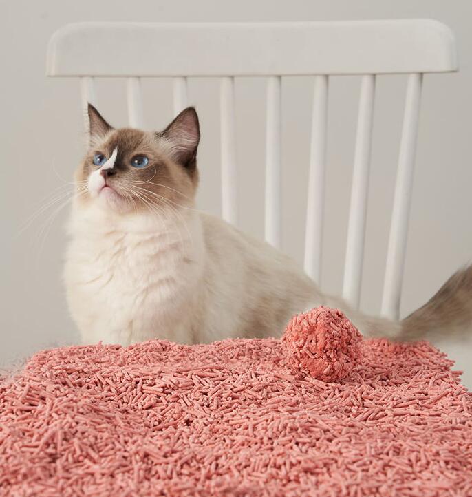 Original Tofu Broken Strong Water Absorbent Dust-free Bentonite 6L Deodorized Tofu Cat Litter Manufacturer