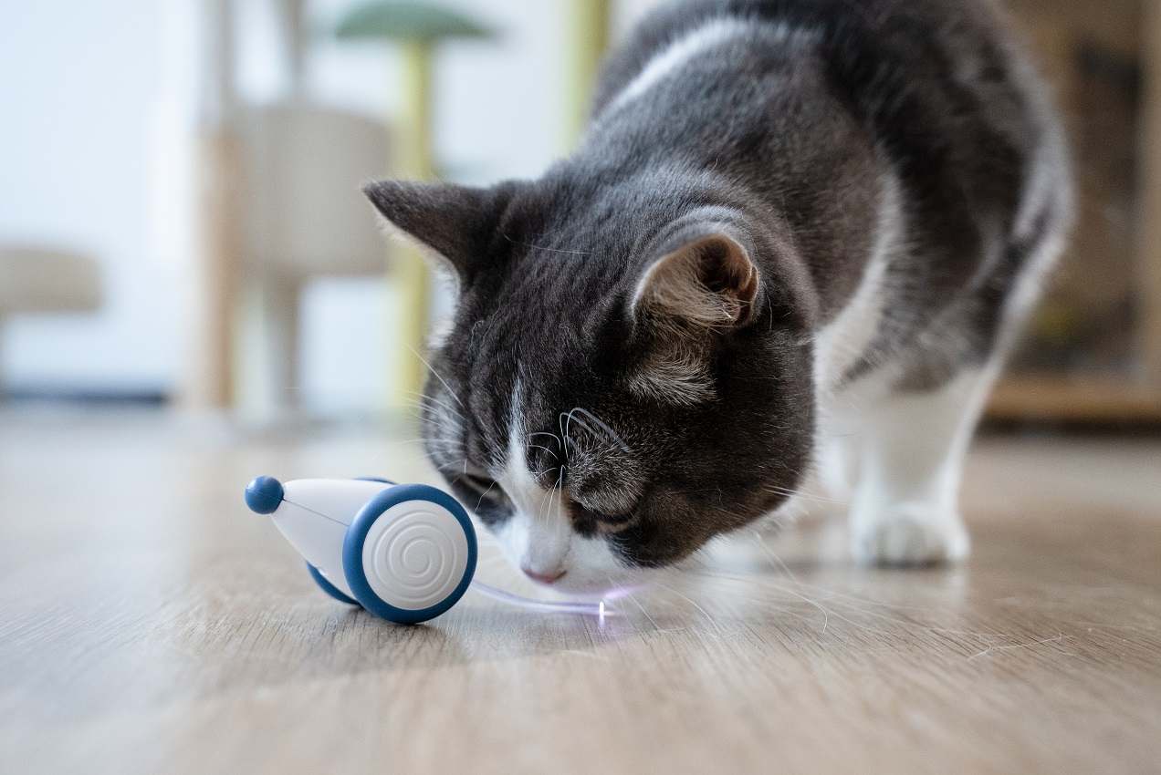 Wholesale Hot Selling Safe Materials USb Rechargeable New Pet Interactive & Movement Other Cat Toys