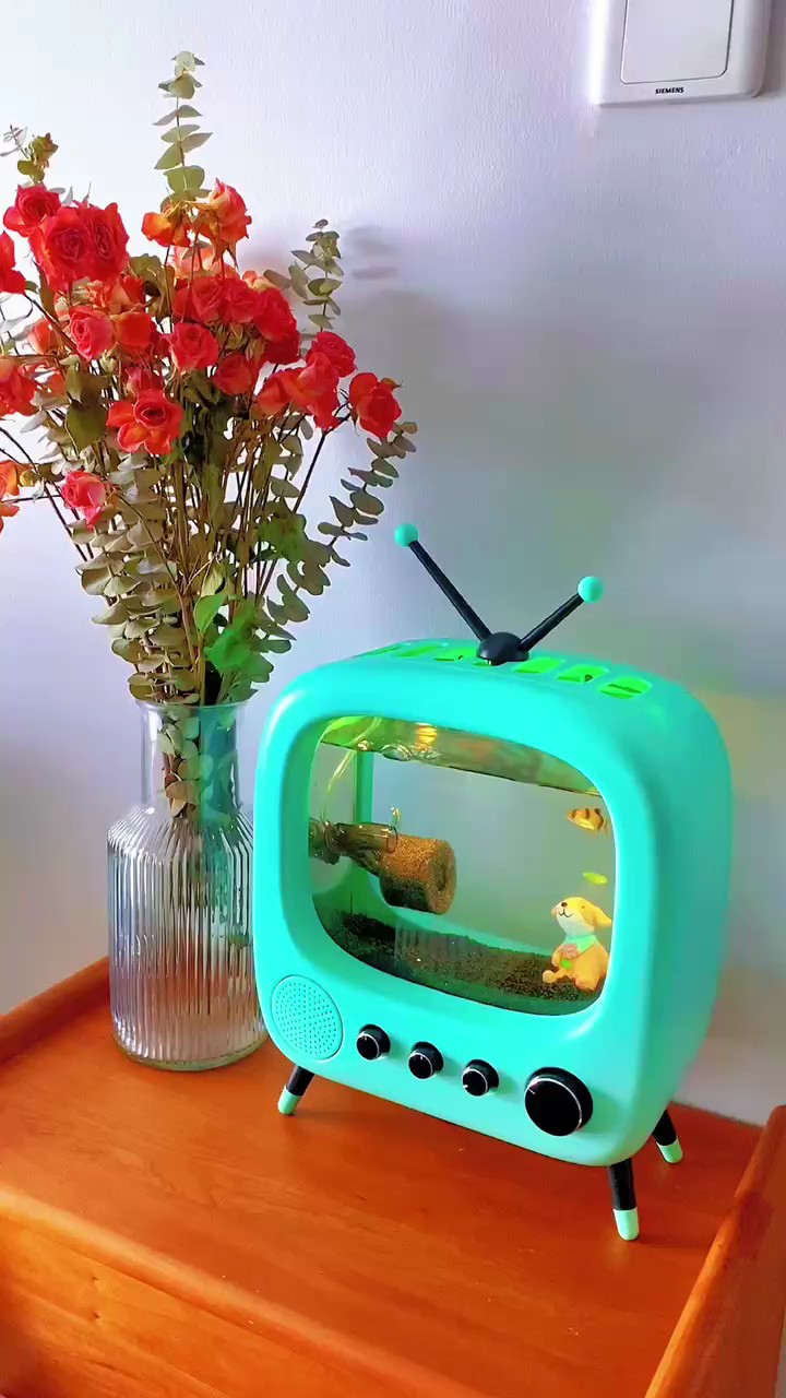 USB fish tank table TV design mini aquarium fish tank for cat