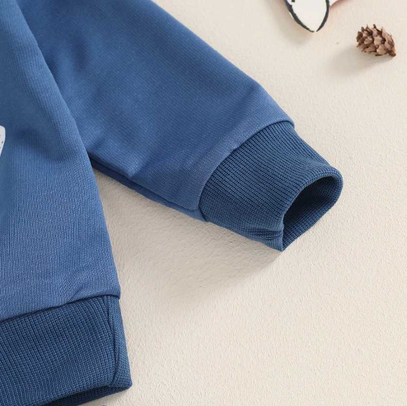 Clothing Sets Baby Boys Fall Outfit Sets Long Sleeve Letter Print Sweatshirt Tops Solid Color Pants Sets Casual Boys Autumn Clothing Set H241126