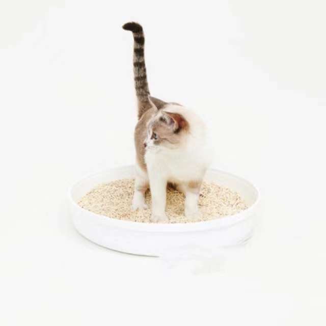 Low dust environmental safety non-toxic Light weight water soluble good tofu cat litter