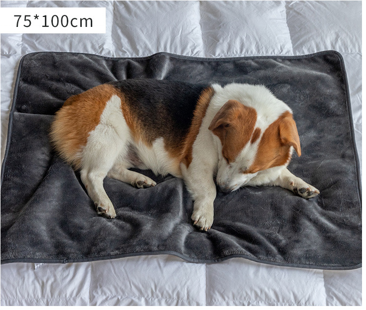 OF Factory Directly High Quality Waterproof Luxury Dog Fleece Blanket Pet Bed Throw Pet Blanket