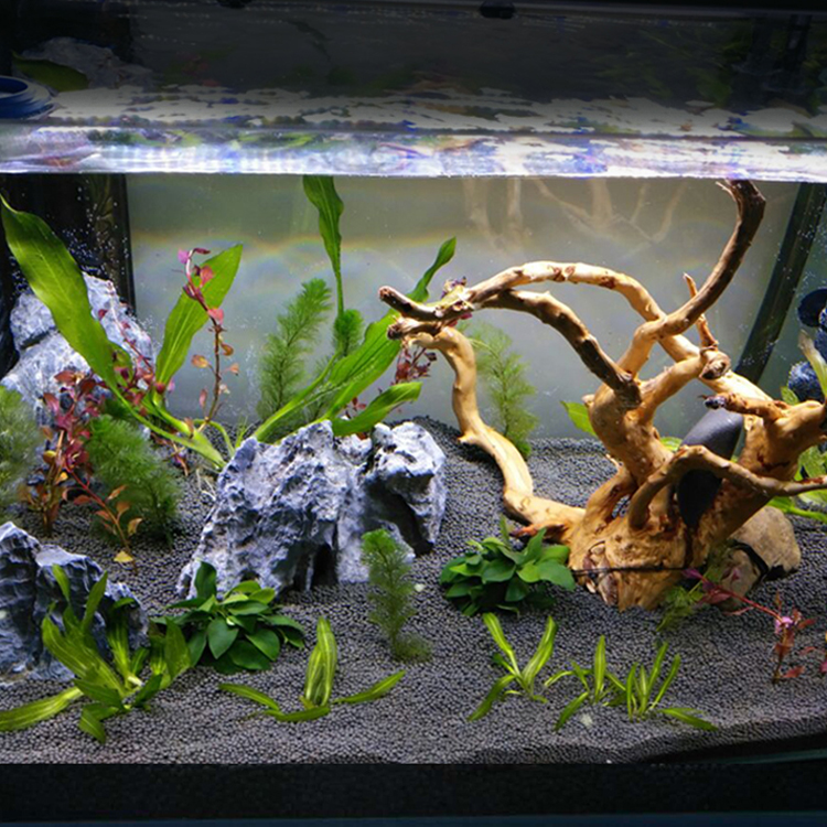 Hot Sale Live Aquarium Plants Black Organic Aquarium Soil