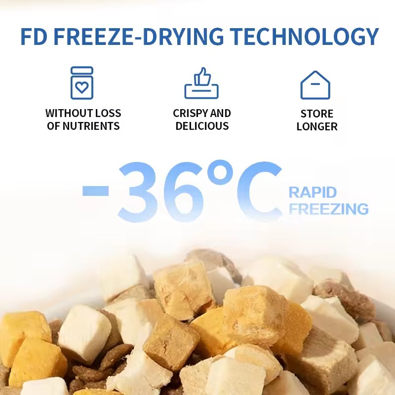 High Quality Freezed Dried Fresh Fish Dry Treat Cat Snacks for adult cat