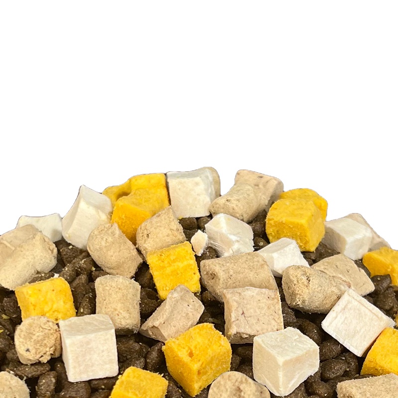 The latest healthy and tasty cat food to protect your pet's stomach