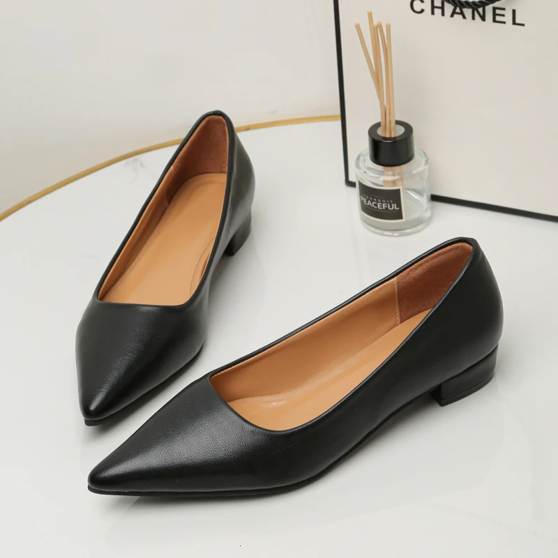 Pointed Toe Shallow Mouth Square Heel Small Leather Shoes Womens Elegant Fashion High Heels Dress Shoes Zapatos Mujer 241126