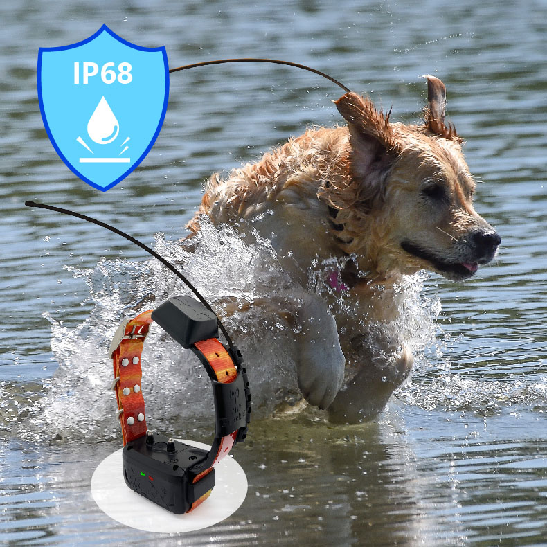 gps hound tracker Includes Handheld and TT collar , Multi-dog Tracking GPS and Remote Training Device in One